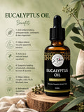 EUCALYPTUS OIL